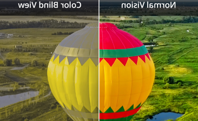 Normal vision view or hot air balloon (left) and color blind view of hot air balloon (right)